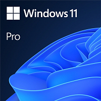 Microsoft-Windows-11-Pro-64-Bit-v-cestine-DVD-box-software.cz.jpeg