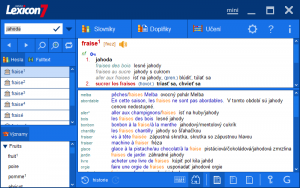 Lingea-Francouzsky-slovnik-Platinum-ukazka-frazi-software.cz.png