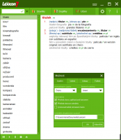 lexicon7-spanelsky-slovnik-platinum-uprava-nastaveni-software.cz.png