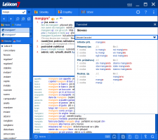 Lexicon-7-Italsky-velky-slovnik-tvaroslovi-software.cz.png