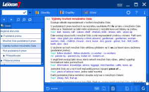 Lexicon-7-Anglicky-velky-ekonomicky-technicky-slovnik-box-software.cz-vyjimky-tvoreni-mnozneho-cisla-software.cz.png