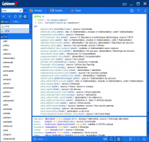 Lexicon-7-Francouzsky-technicky-slovnik-ukazka-vyhledavani-software.cz.png