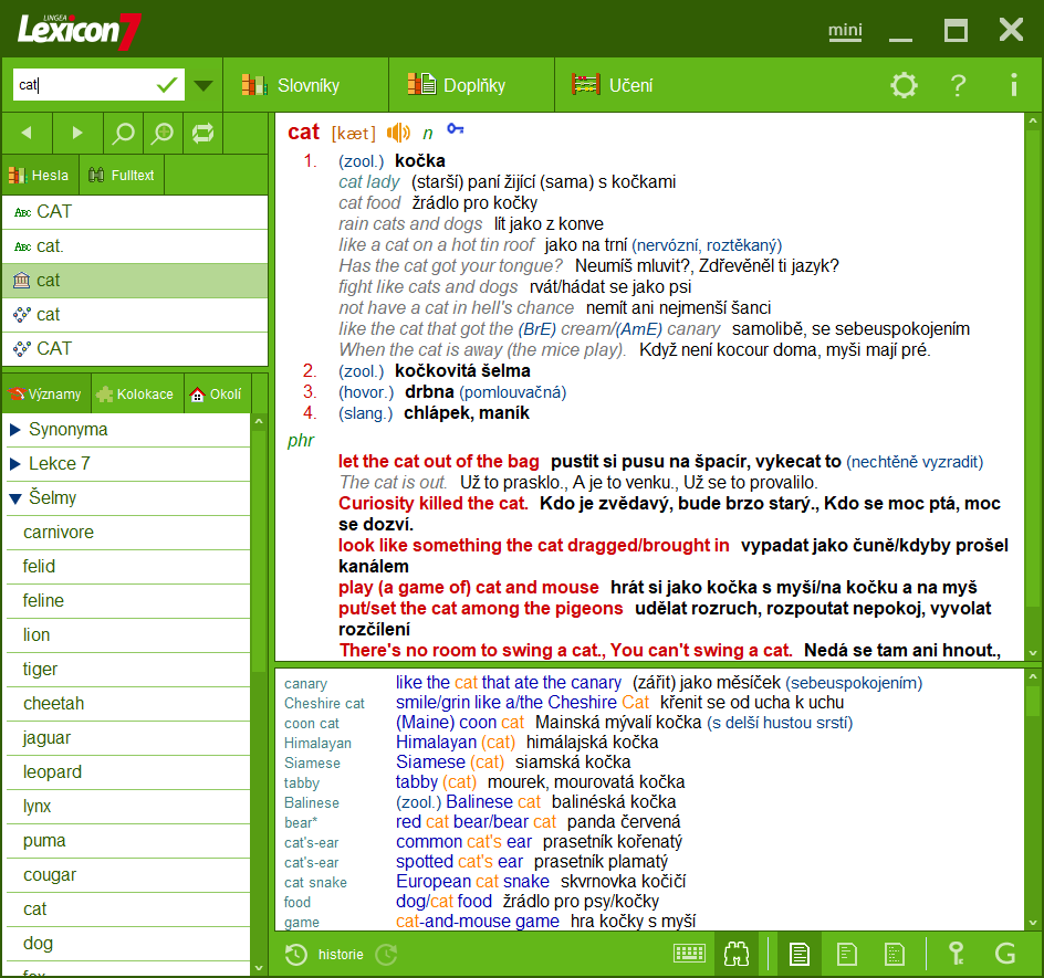 Lingea-Lexicon-Platinum7-anglicky-nahled-frazi-software.cz.png