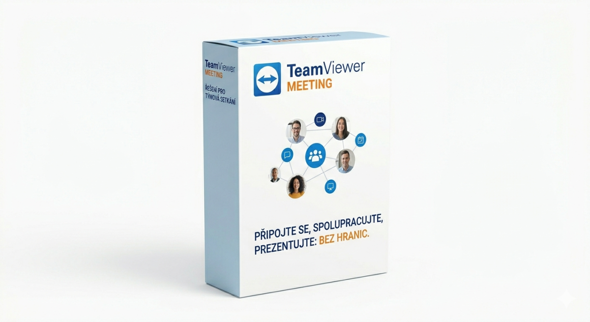 TeamViewer Meeting 100