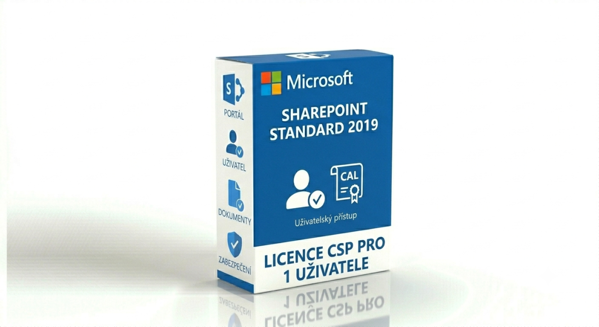 CSP SharePoint Standard 2019 User CAL